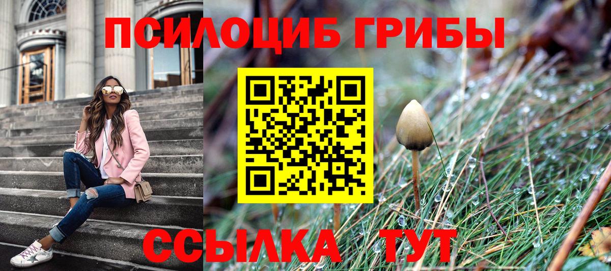 Галлюциногенные грибы MAGIC MUSHROOMS Железногорск