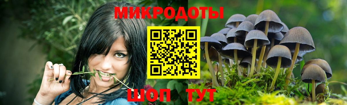 Железногорск  Псилоцибиновые грибы мухоморы  купить наркоту  Вход с VPN 